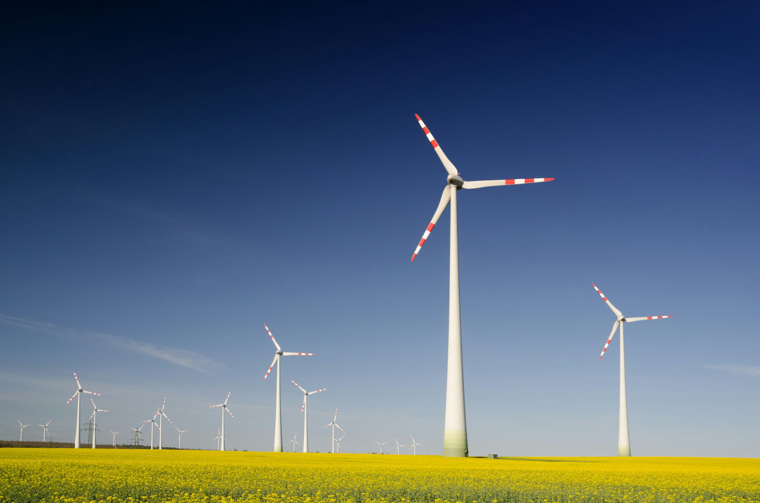 Renewable Energy Sector Sees Record Growth